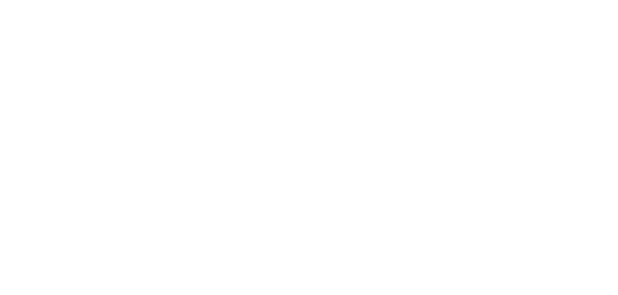 Logo Silva e Schmitz
